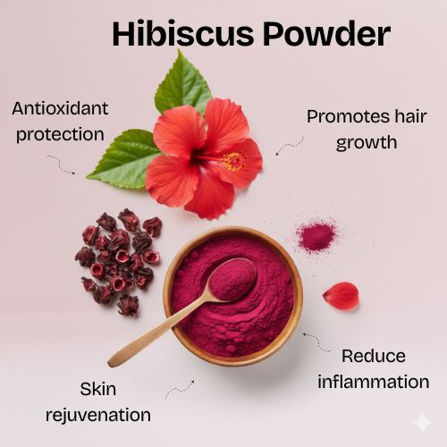 Hibiscus Powder - 100g