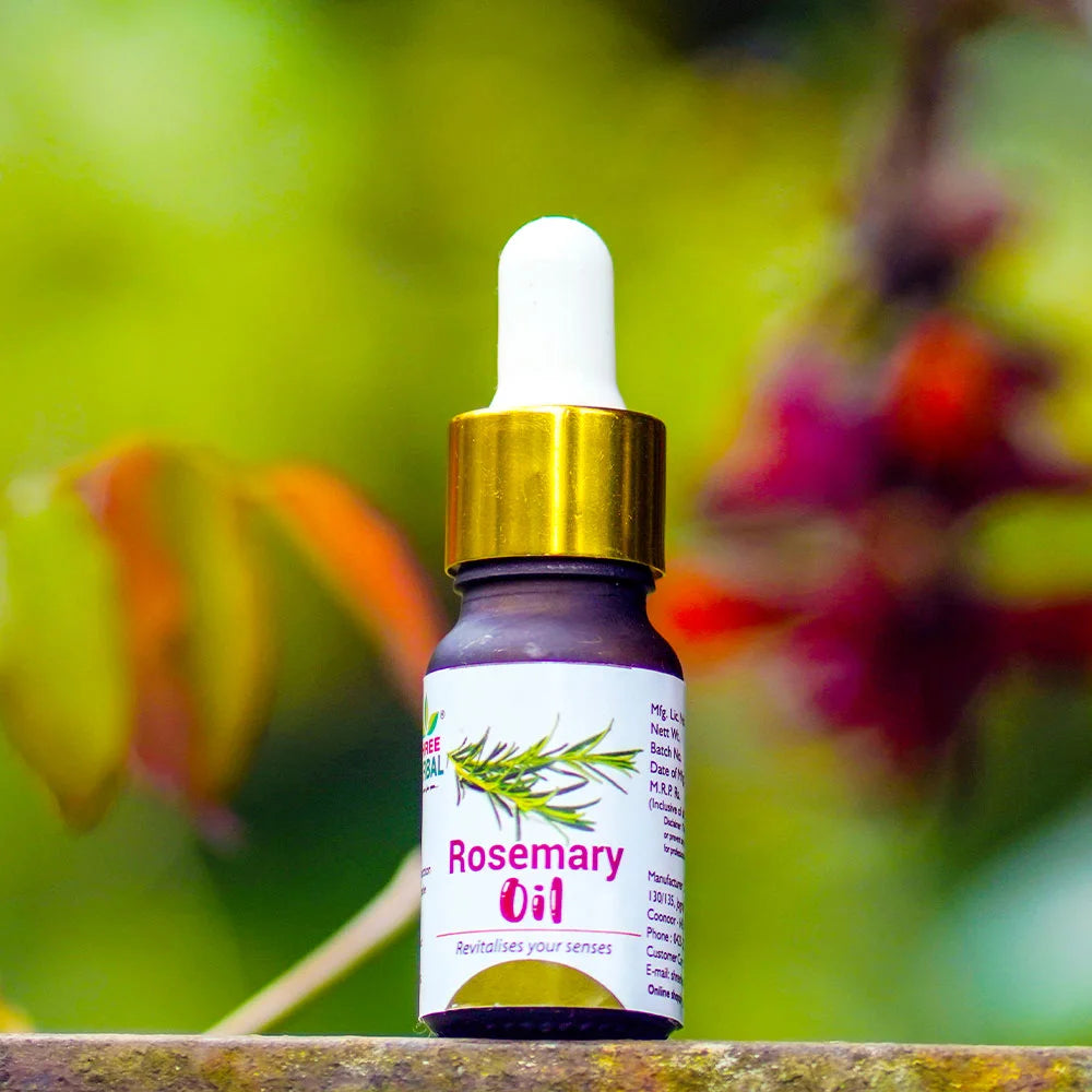 Rosemary Essential Oil (Hair Growth and Focus Support)