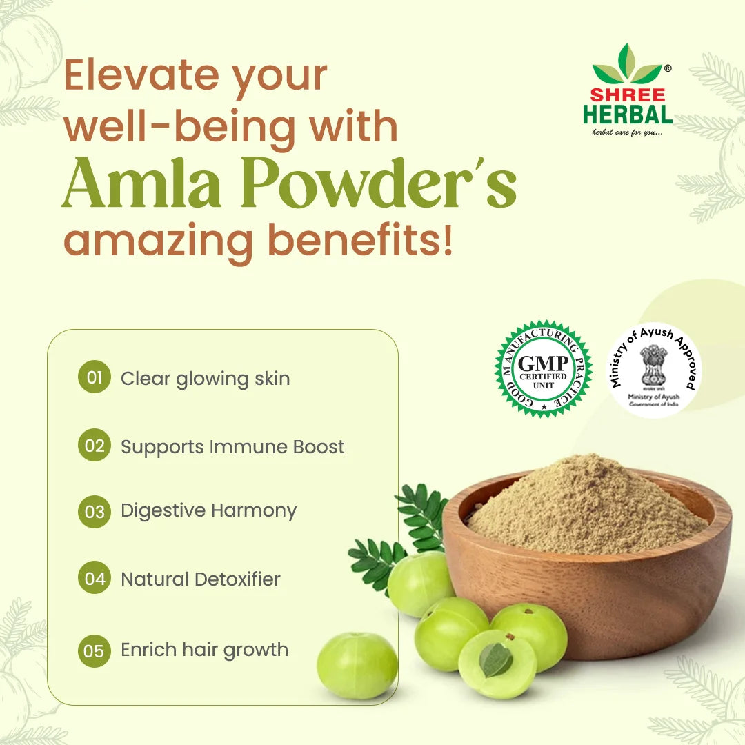 Amla Powder - 100g