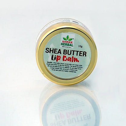 Shea Butter Lip Balm - 10g