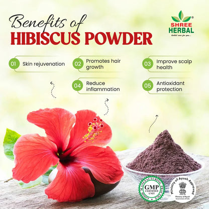 Hibiscus Powder - 100g