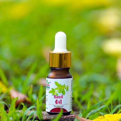 Basil Essential Oil (Respiratory and Clarity Support)