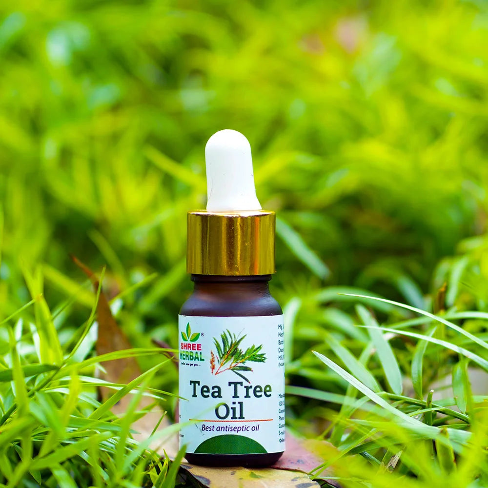 Tea Tree Essential Oil (Acne and Scalp Care)