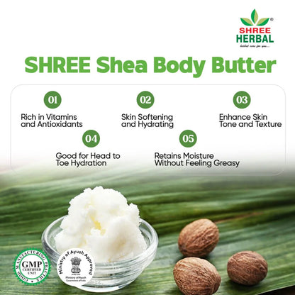 Shea Body Butter - 30g