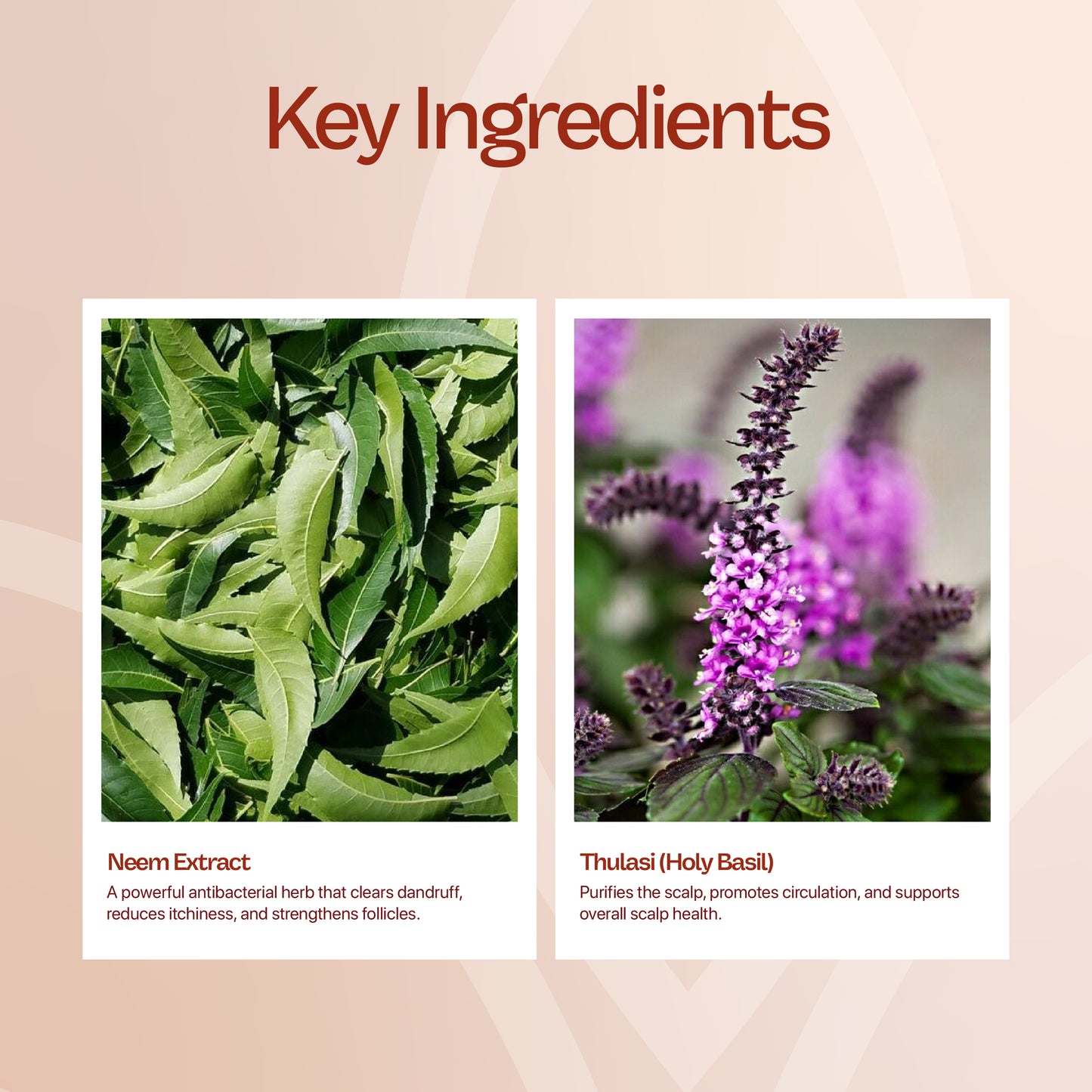 Neem and Tulsi Shampoo - 100mL