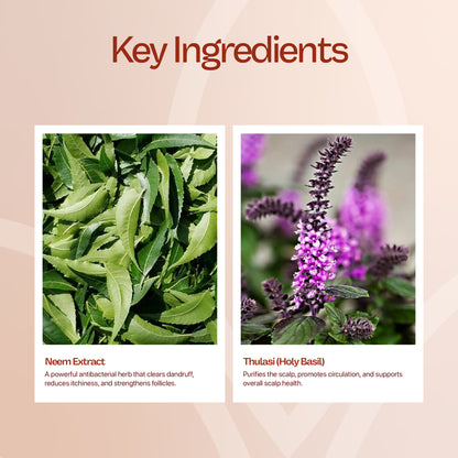 Neem and Tulsi Shampoo - 100mL