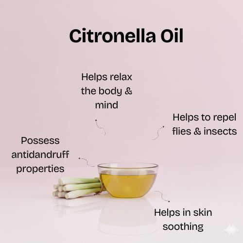 Citronella Essential Oil - 100mL