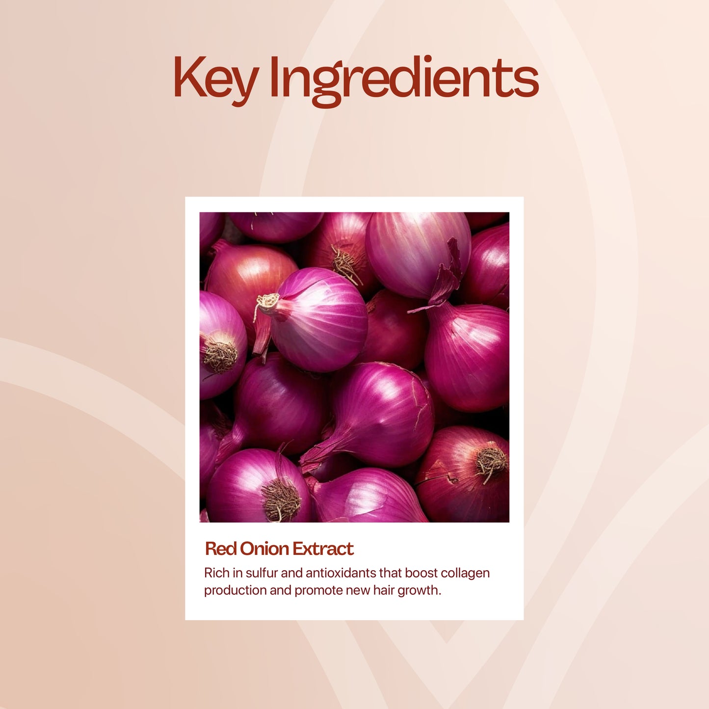 Hair Oil Enriched with Onion - 100mL