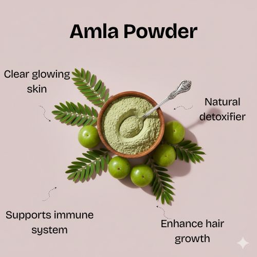 Amla Powder - 100g
