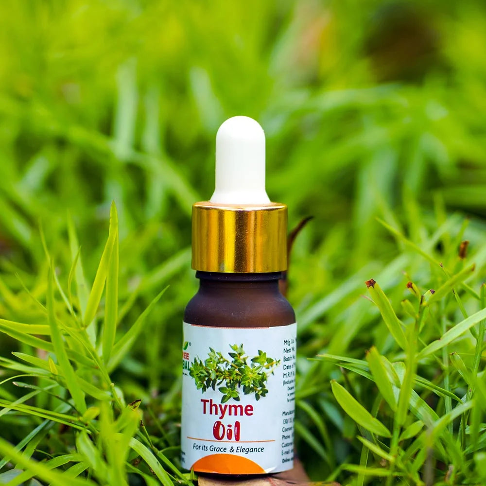 Thyme Essential Oil (Immune and Respiratory Support)