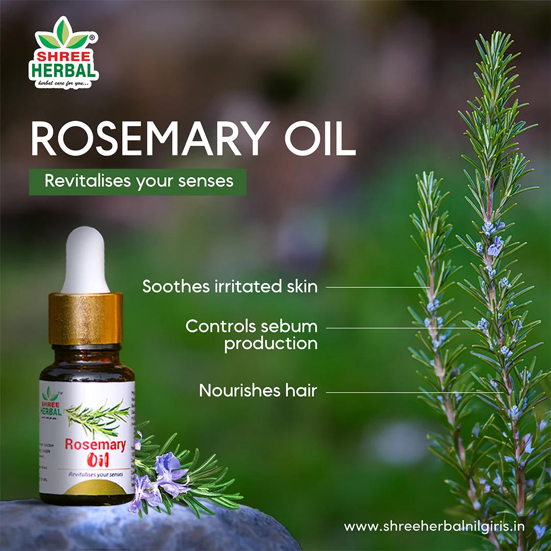 Rosemary Essential Oil (Hair Growth and Focus Support)